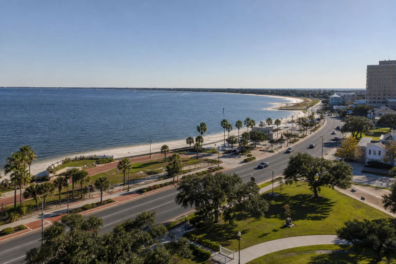 Elevated view of a curving waterfront beach beside a palm-lined road, with cars, green lawns, mature trees and buildings.